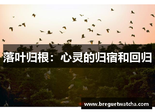 落叶归根：心灵的归宿和回归